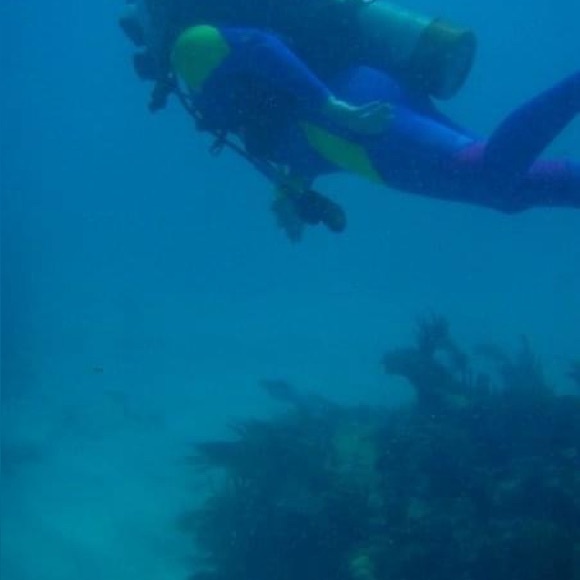 Meet your Posher, Wendy - Picture 3 of 6